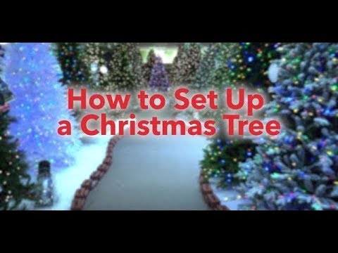 How To Set Up a Christmas Tree