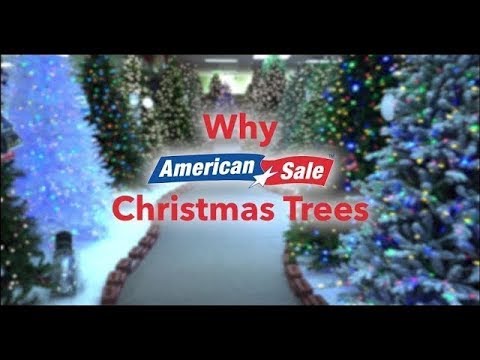 Why Buy a Christmas Tree from American Sale