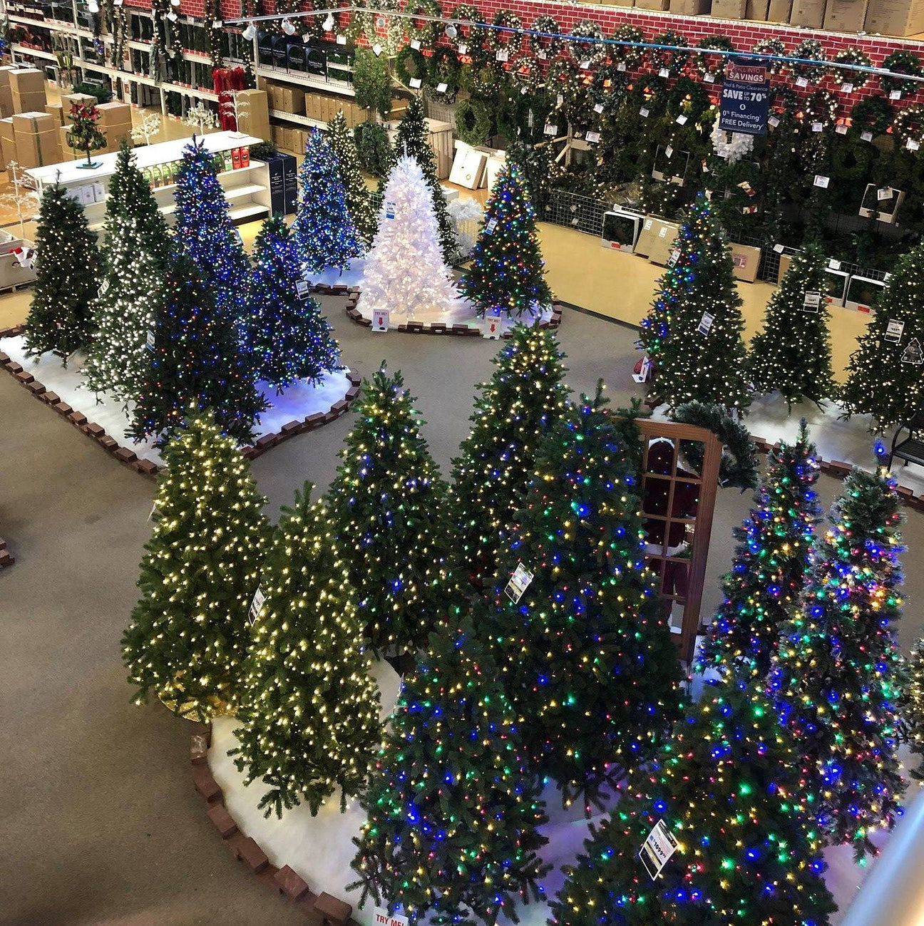 Clearance Christmas Trees