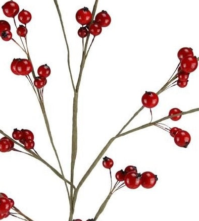This is an up close image of some of the branches and berries.
