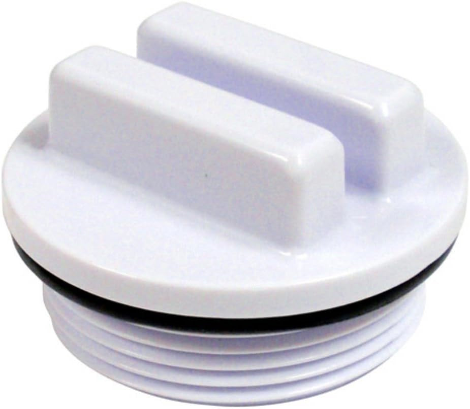 This is a white pool plug with a black "O" ring around it.