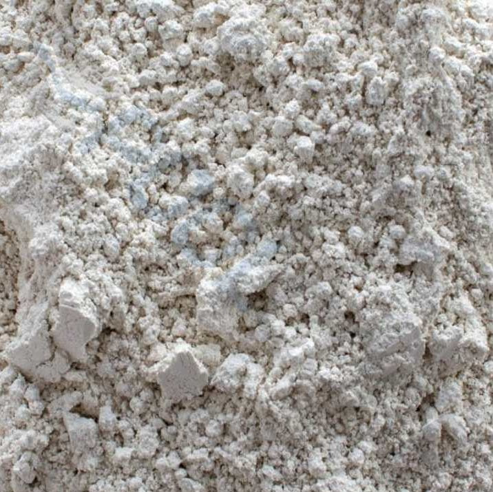 This image shows what the Diatomaceous Earth powder looks like.