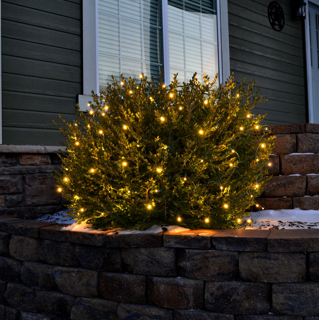 Set of 100 Professional Grade Christmas LED Net Lights