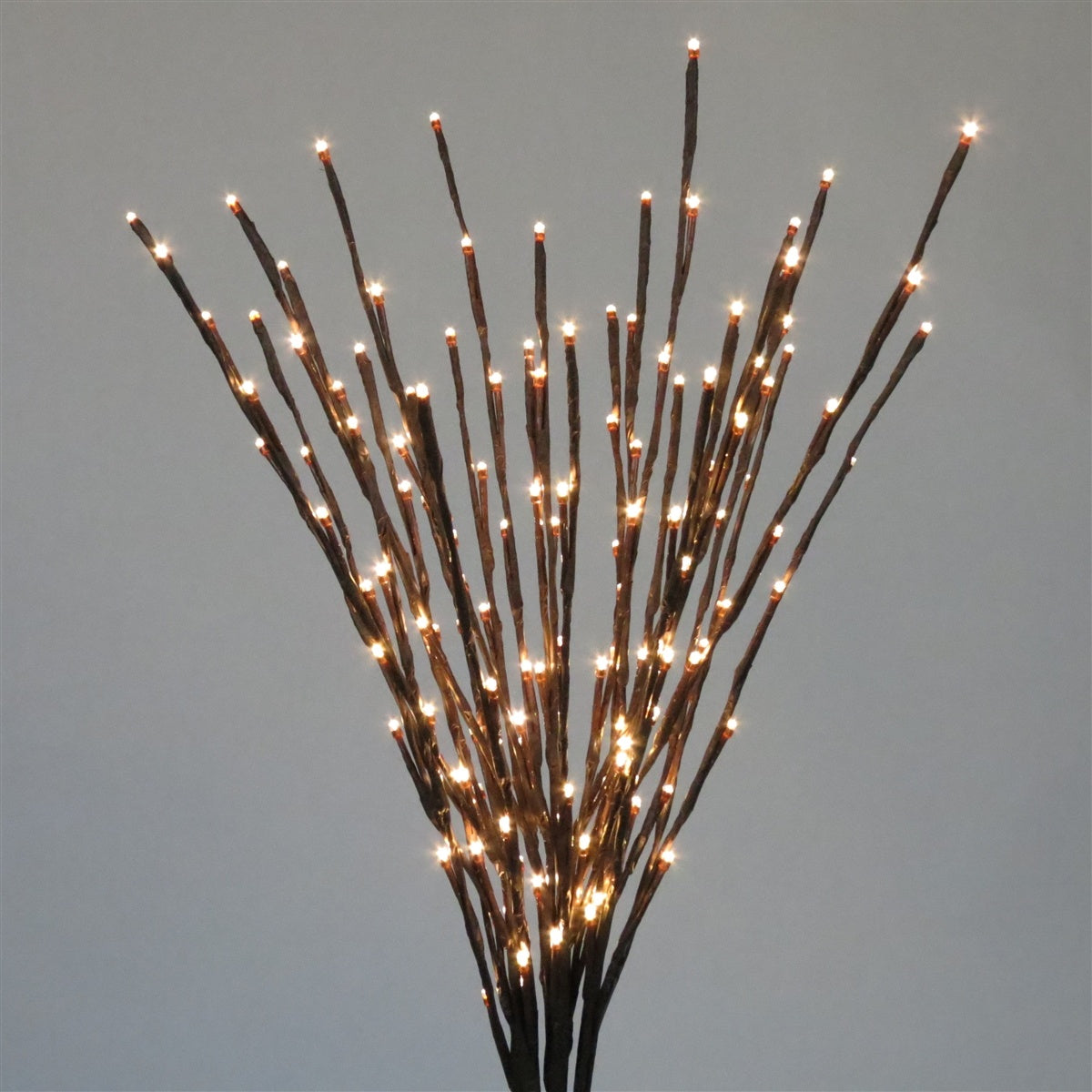 This image shows a light burst with warm white and pure white LED lights on the branches.