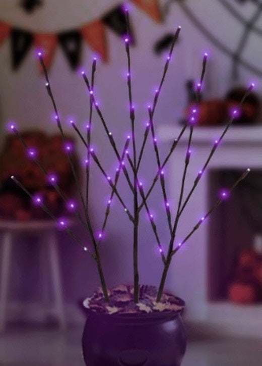 This is a lifestyle image showing the three branches inside of a small black cauldron.