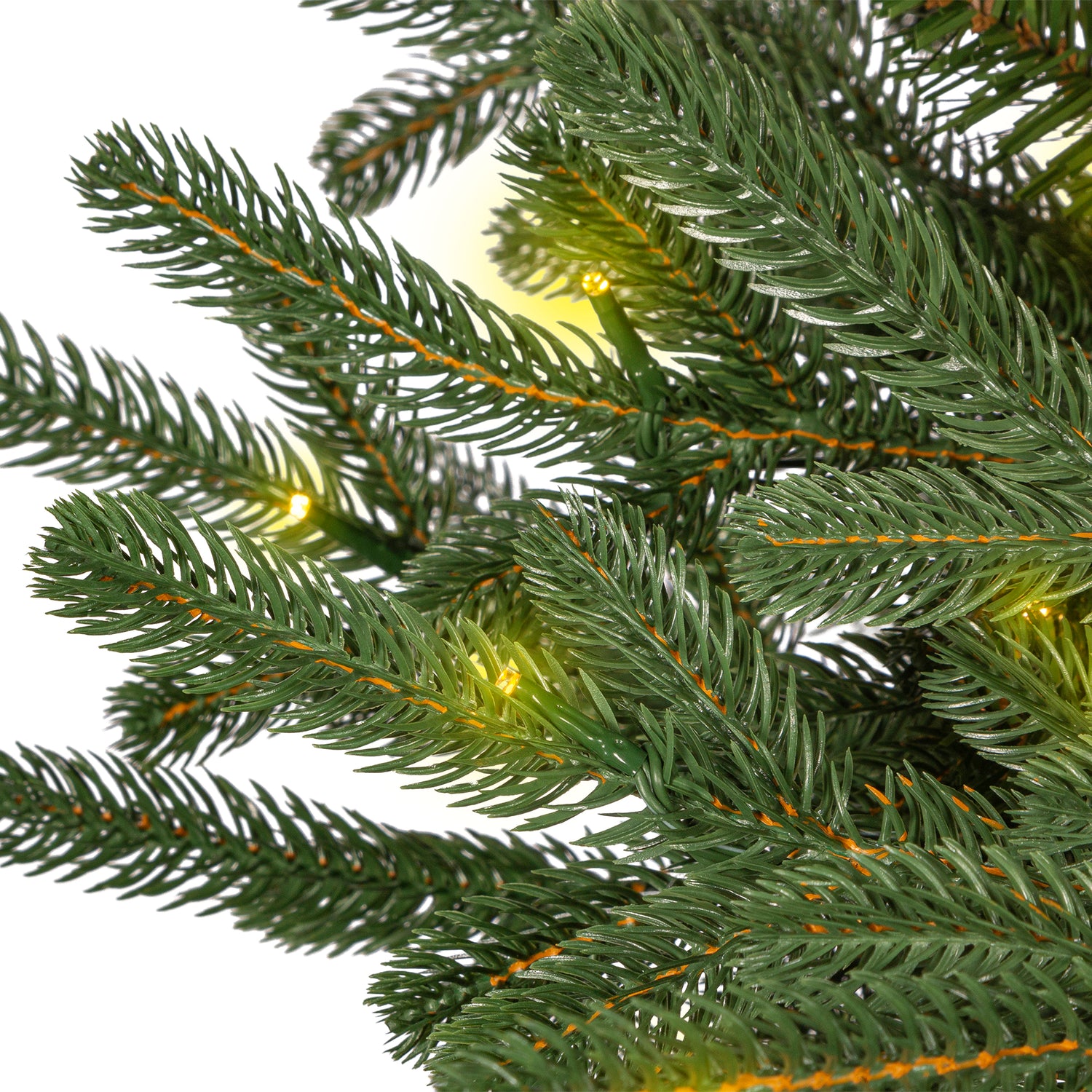 This is an up close view of the branch tips and light bulbs with the lights on. The lights in this image are warm white.
