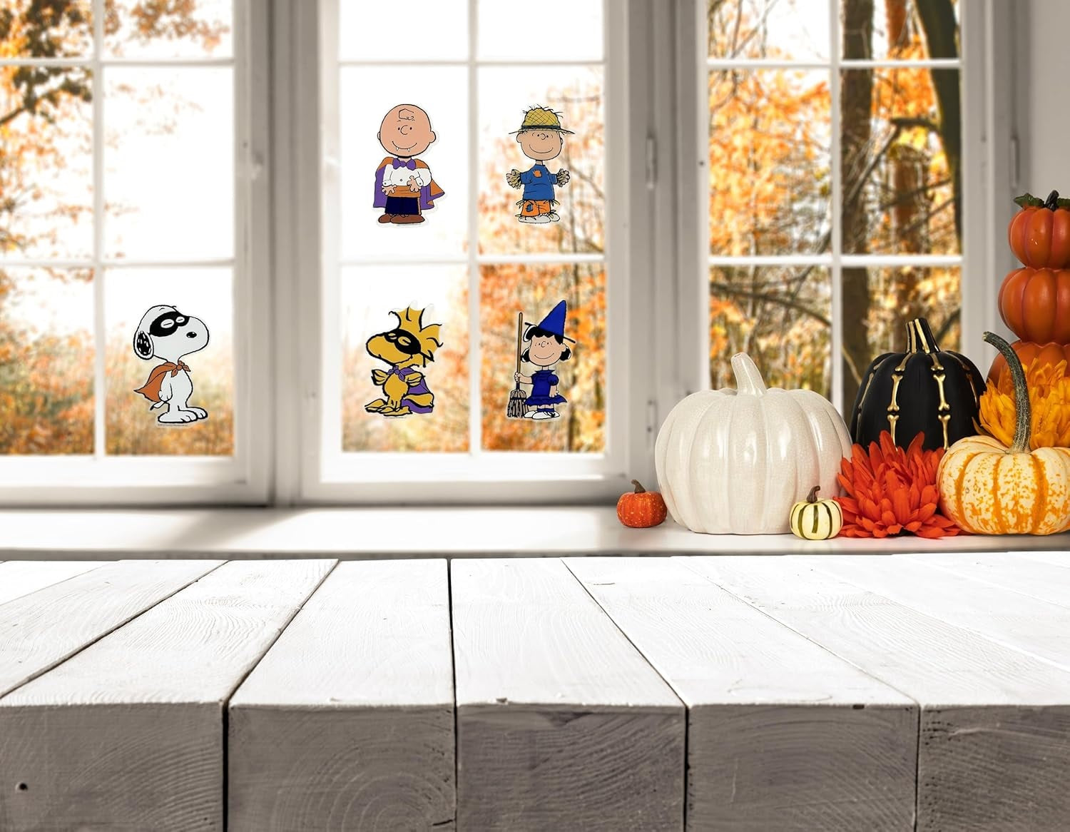 This is a lifestyle image showing all five of the window clings in use on a window. There are different colored pumpkins on the window ledge.