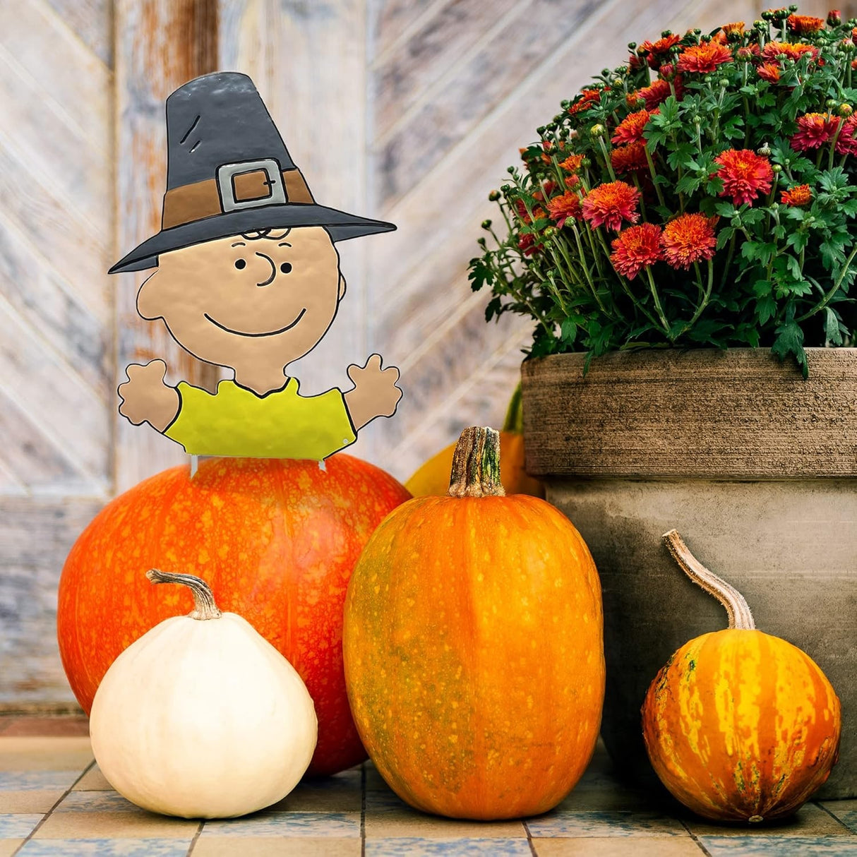 This is a lifestyle image showing it sticking out from inside a pumpkin on a porch next to some other pumpkins and a pot of flower.