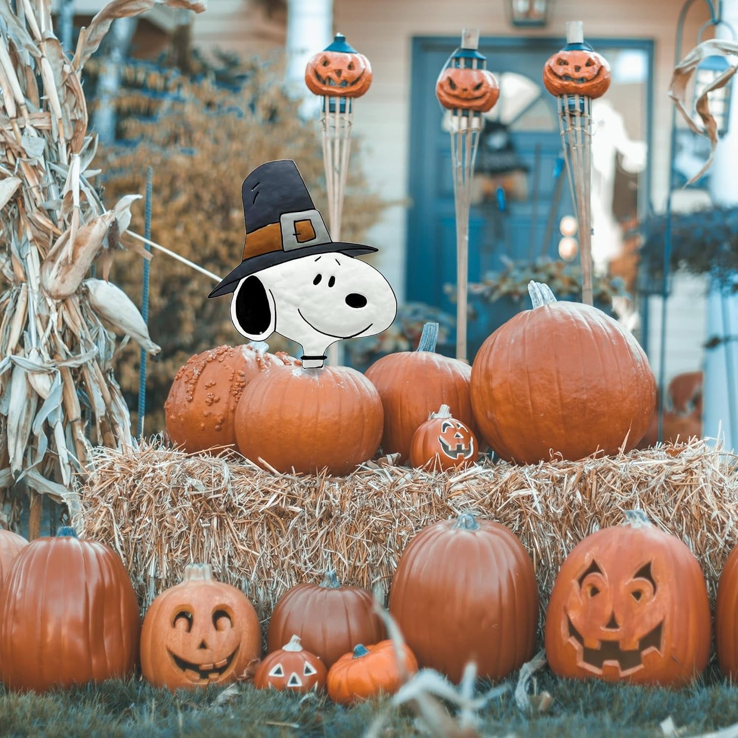 This is a lifestyle image showing it sticking out from inside a pumpkin that's next to a bunch of other pumpkins on a bale of hay. Some of the pumpkins are carved with silly and spooky faces.