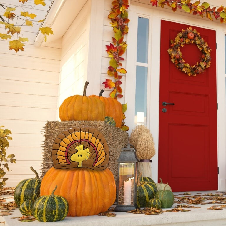 This is a lifestyle image showing it sticking out from inside a pumpkin on a porch next to a bale of hay, some gourds and a candle.