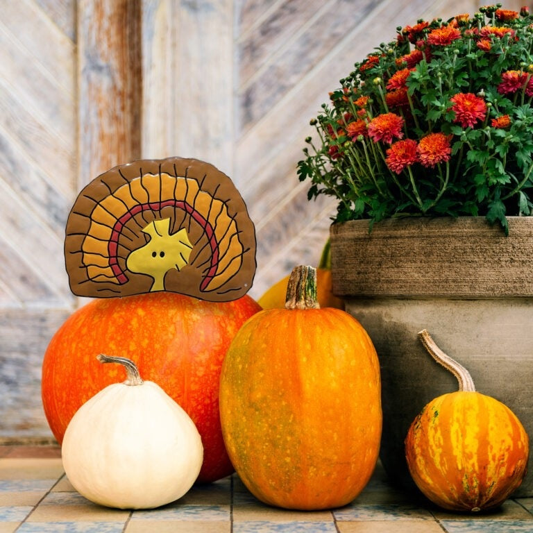 This decoration is easy to use: Just push it into the skin of your pumpkin and it'll stay. This is a lifestyle image showing it sticking out from inside a pumpkin near a flower pot. This decoration is designed to look like the famous Peanuts character Woodstock dressed as a turkey.