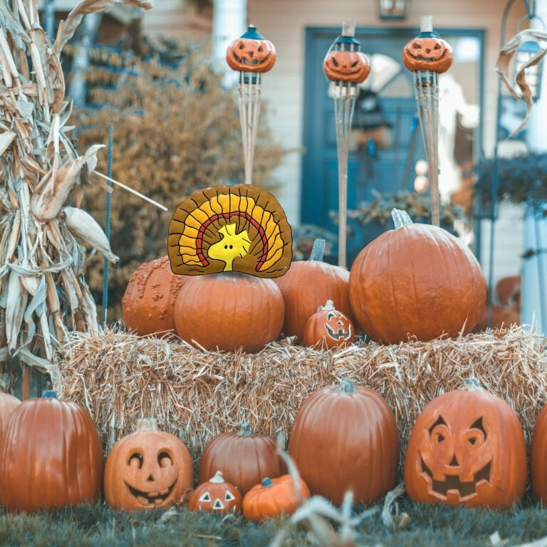 This is a lifestyle image showing it sticking out from inside a pumpkin that's next to a bunch of other pumpkins on a bale of hay. Some of the pumpkins are carved with silly and spooky faces.