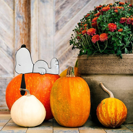 This is a lifestyle image showing this pumpkin press-in decoration sticking out of a pumpkin. The pumpkin is surrounded by other gourds, pumpkins and a flower pot. The press-in decoration is designed to look like the famous Peanuts character Snoopy laying down.
