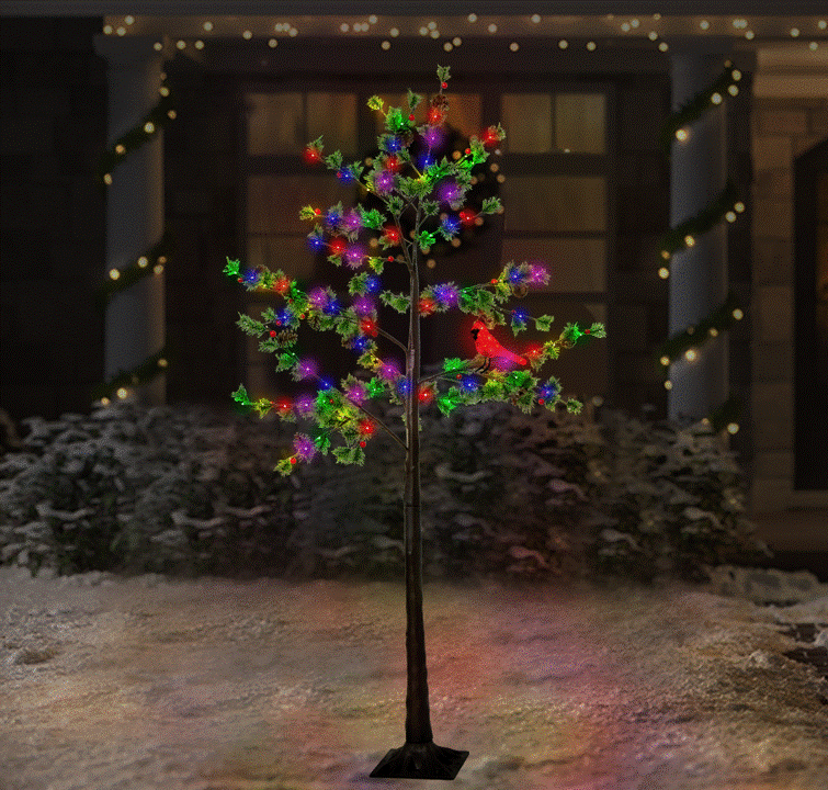 This is a lifestyle image showing the tree outside in front of a house.