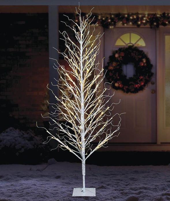This is a lifestyle image showing the birch tree on the snowy lawn in front of a house.