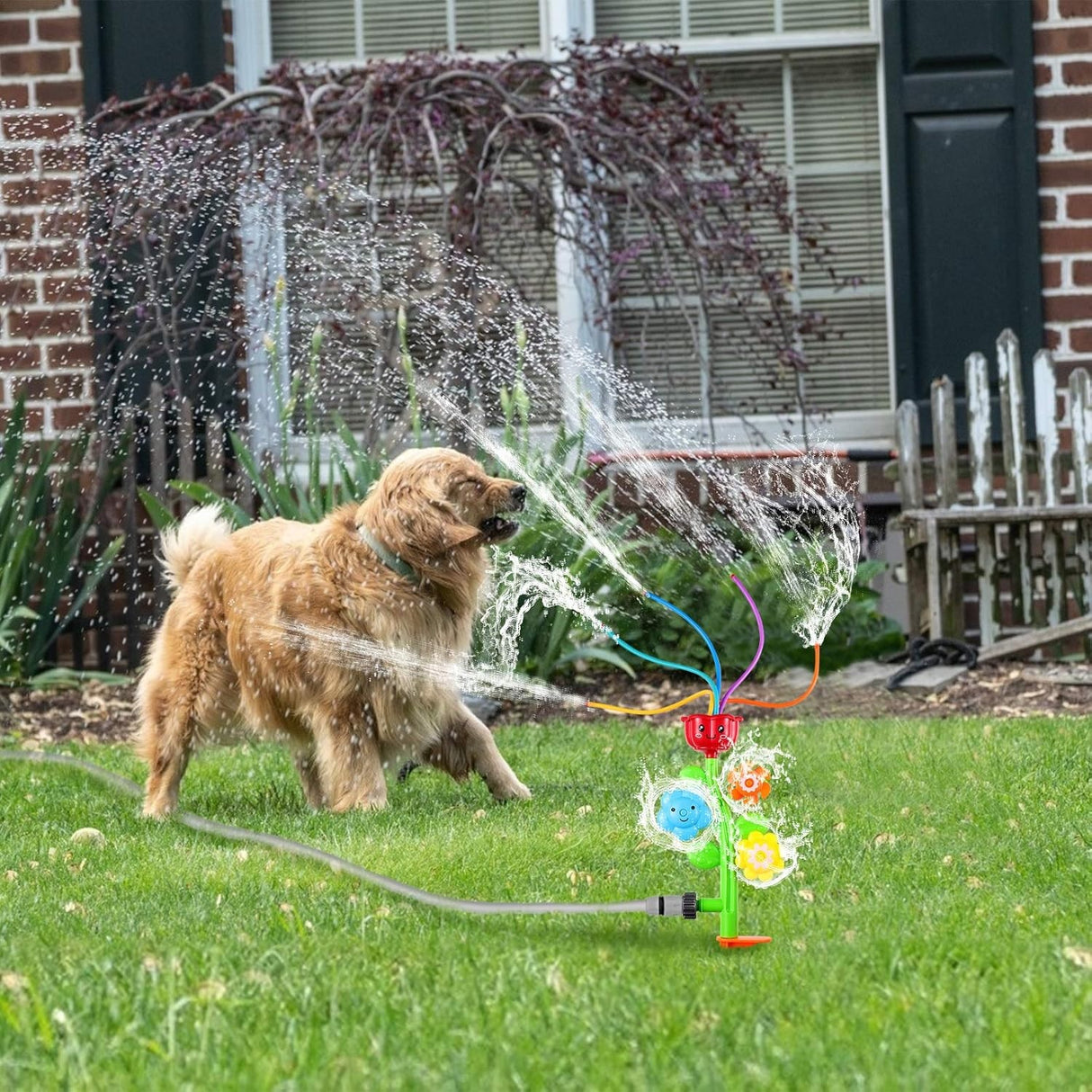 Sprinkler shaped like a stem with four "petals." The top flower has five wiggly hoses coming out of it. The other flowers spin to shoot the water in different directions. This is a lifestyle image showing a golden retriever dog playing in the water outside.