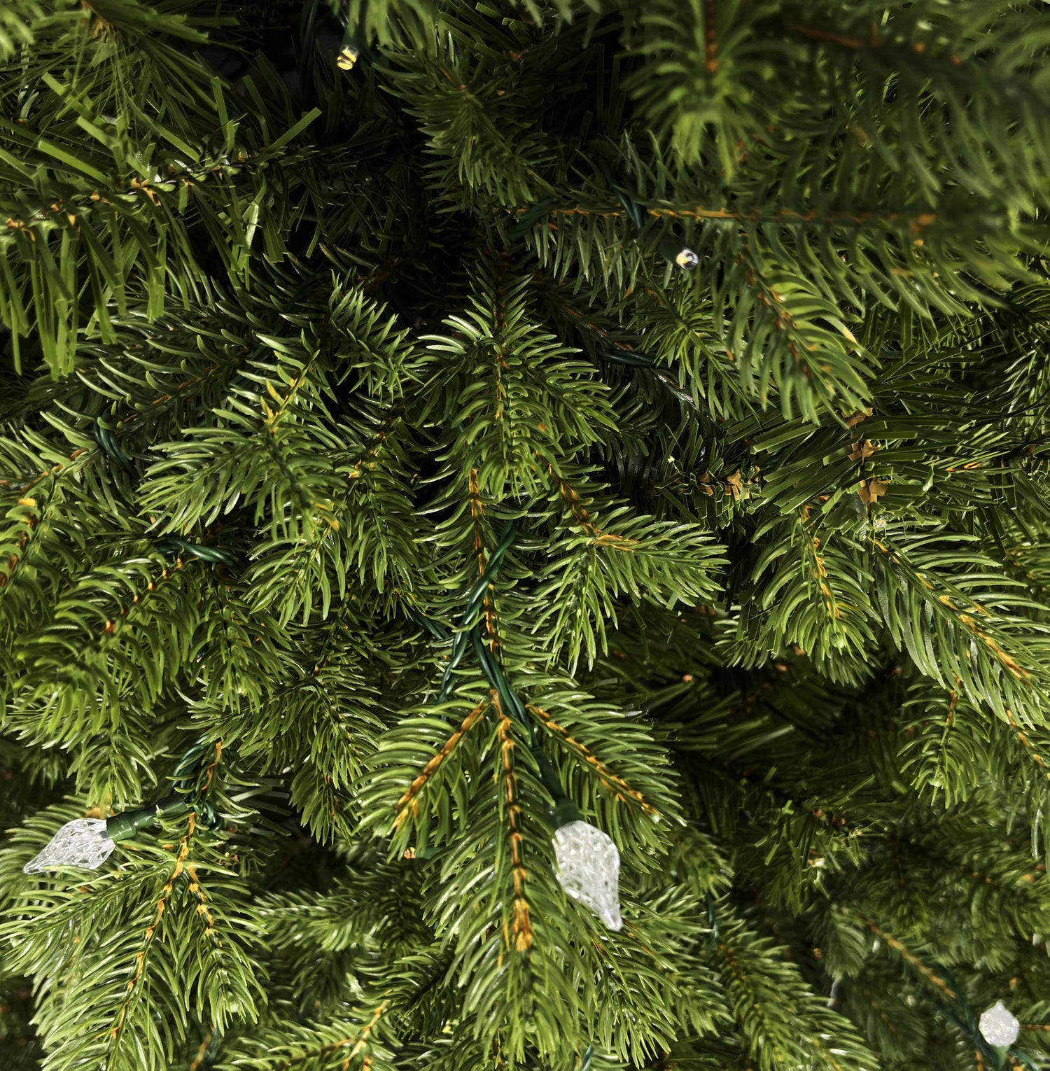 This is an up close view of the branch tips and light bulbs.