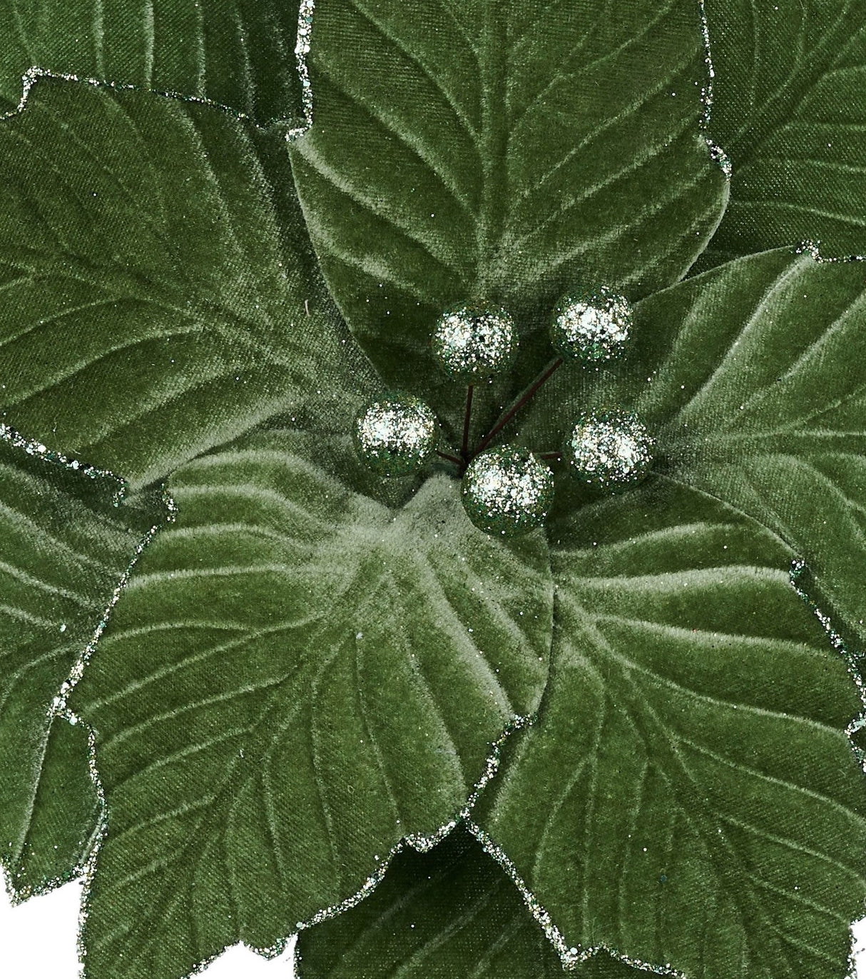 This is an up close view of the center of the poinsettia.