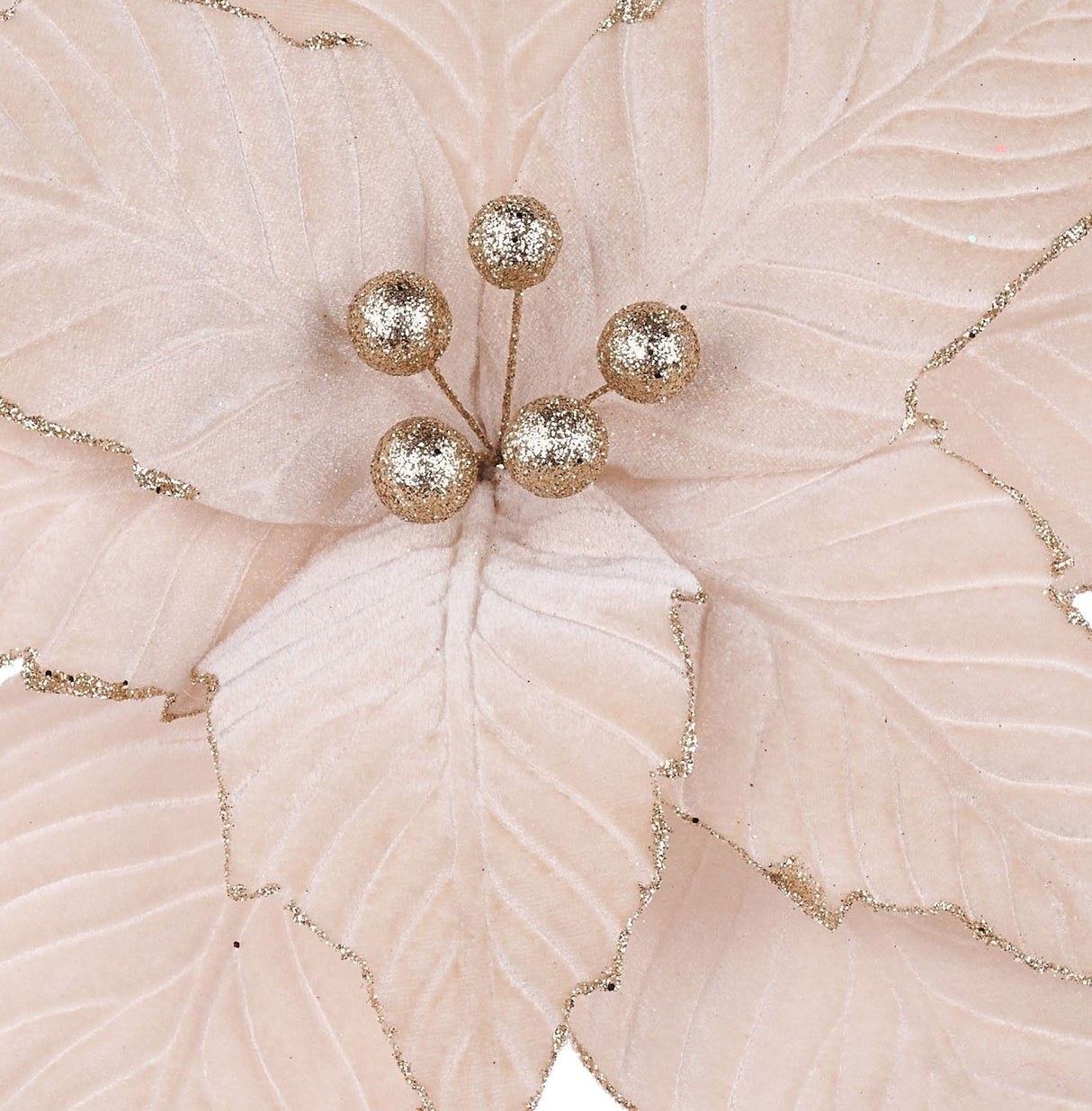 This is an up close view at the center of the poinsettia.