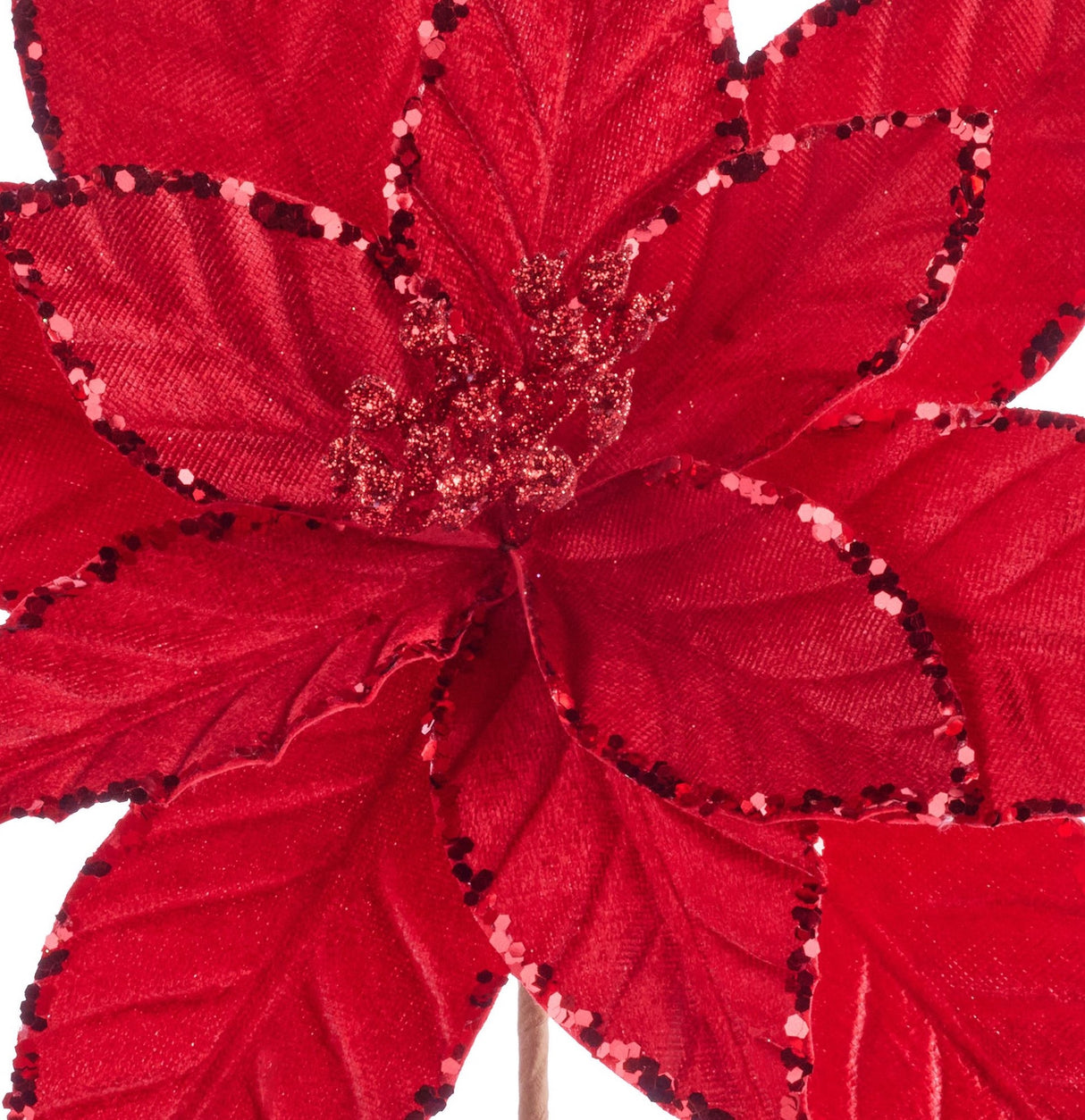 This is an up close view of the center of the poinsettia.