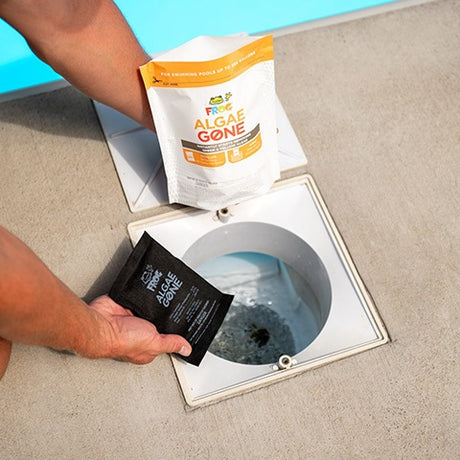 This image shows someone about to put the Algae Gone pod into their pool skimmer.