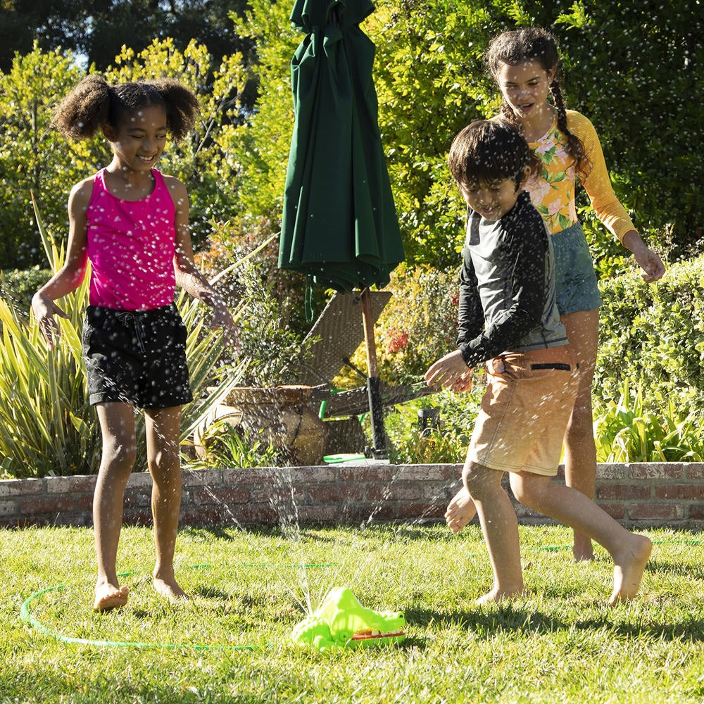 A game where you choose a tooth and press down with your finger. But if the crocodile snaps down, you get chomped AND soaked!