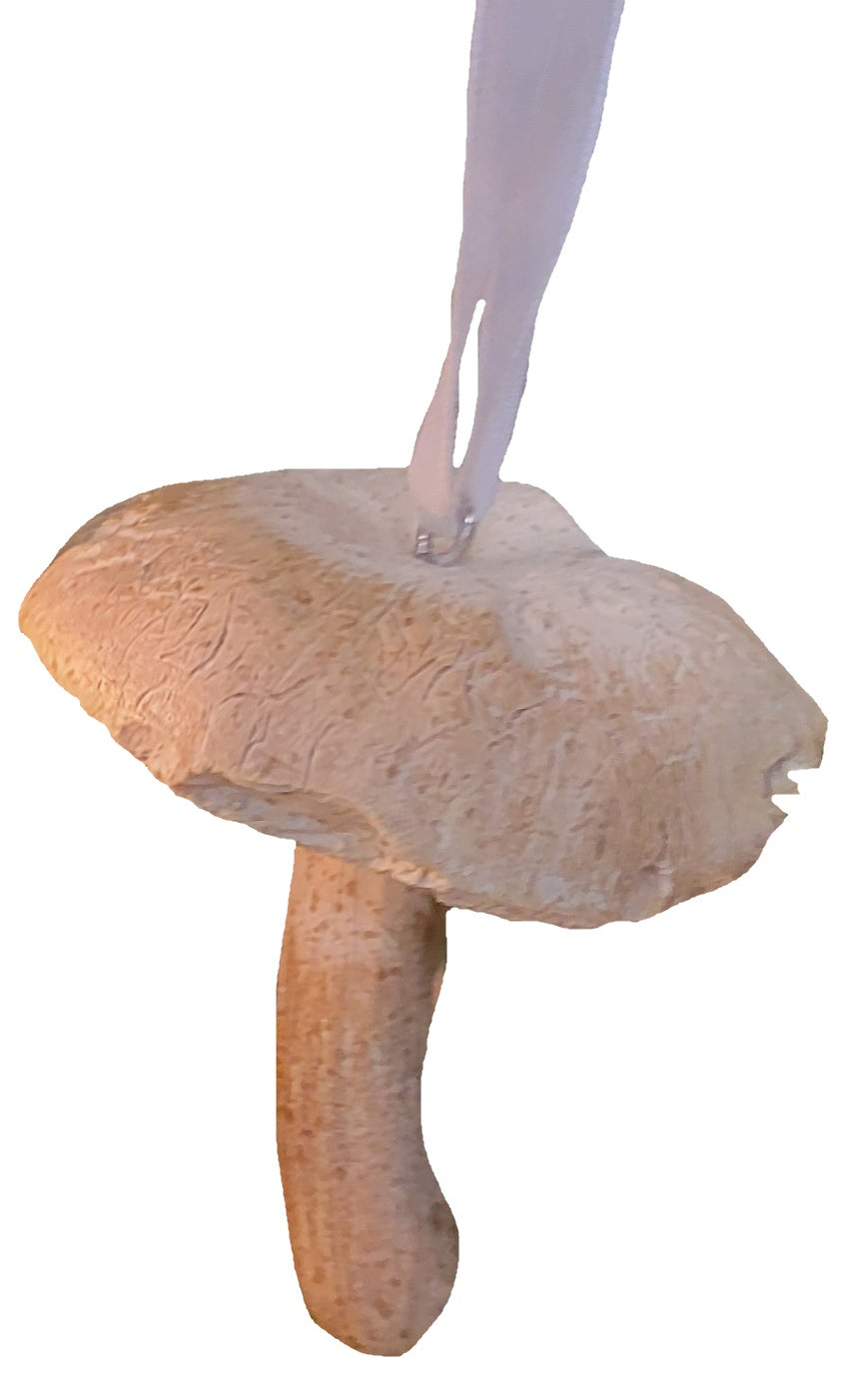 This is one of the mushroom ornaments on a white background.