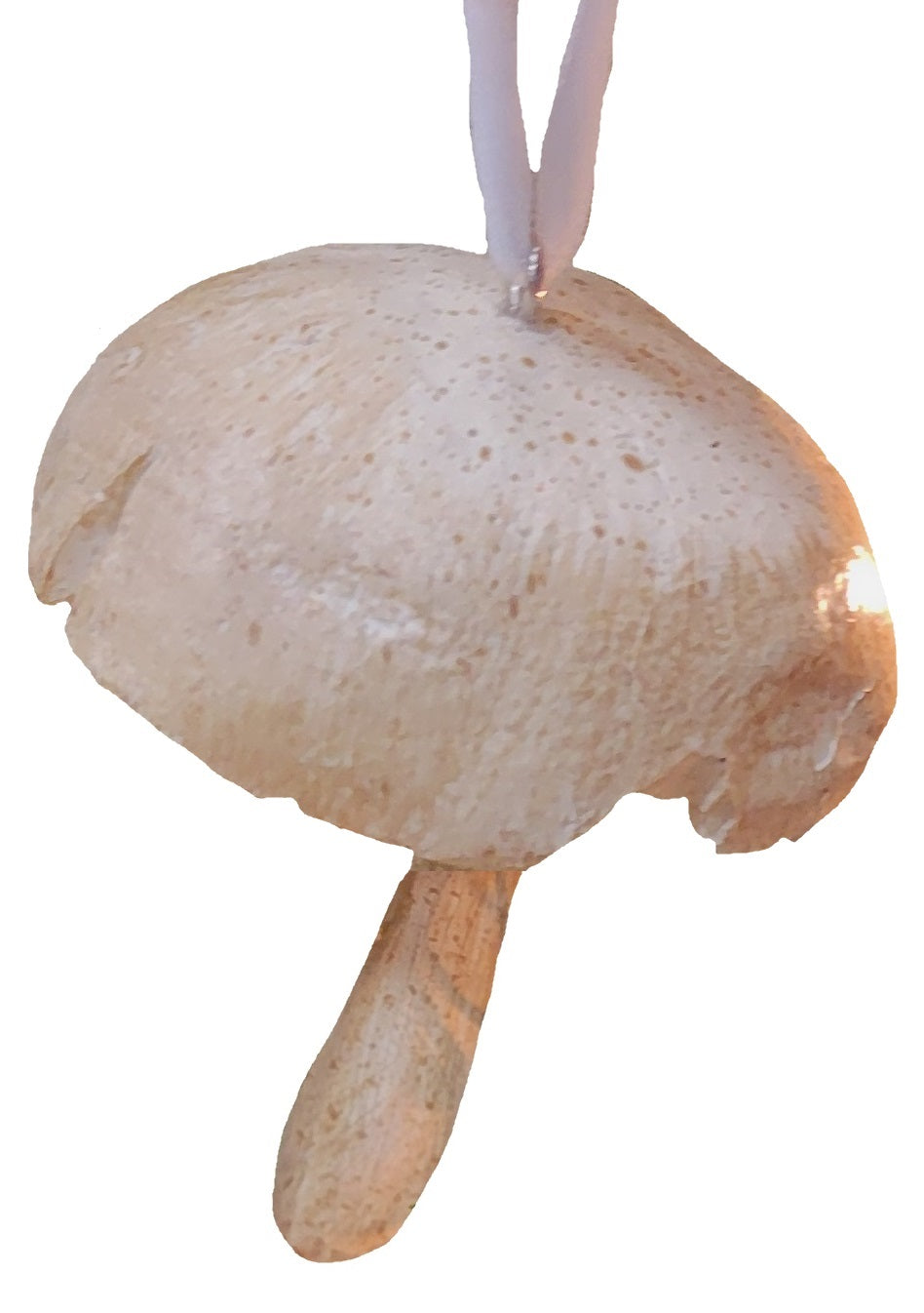 This is one of the mushroom ornaments on a white background.