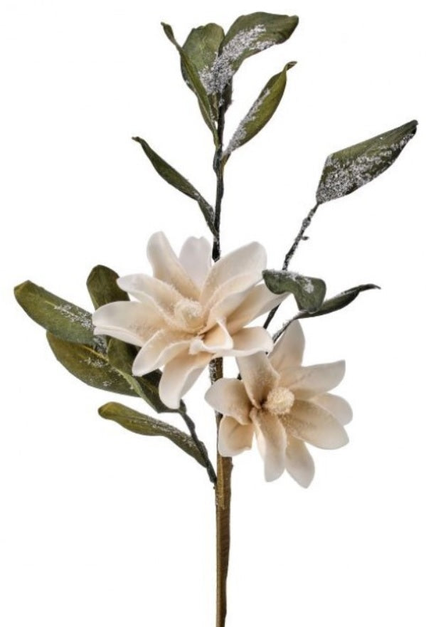Pick spray designed to look like a a stem with two cream colored magnolia flowers with snow covered leaves.