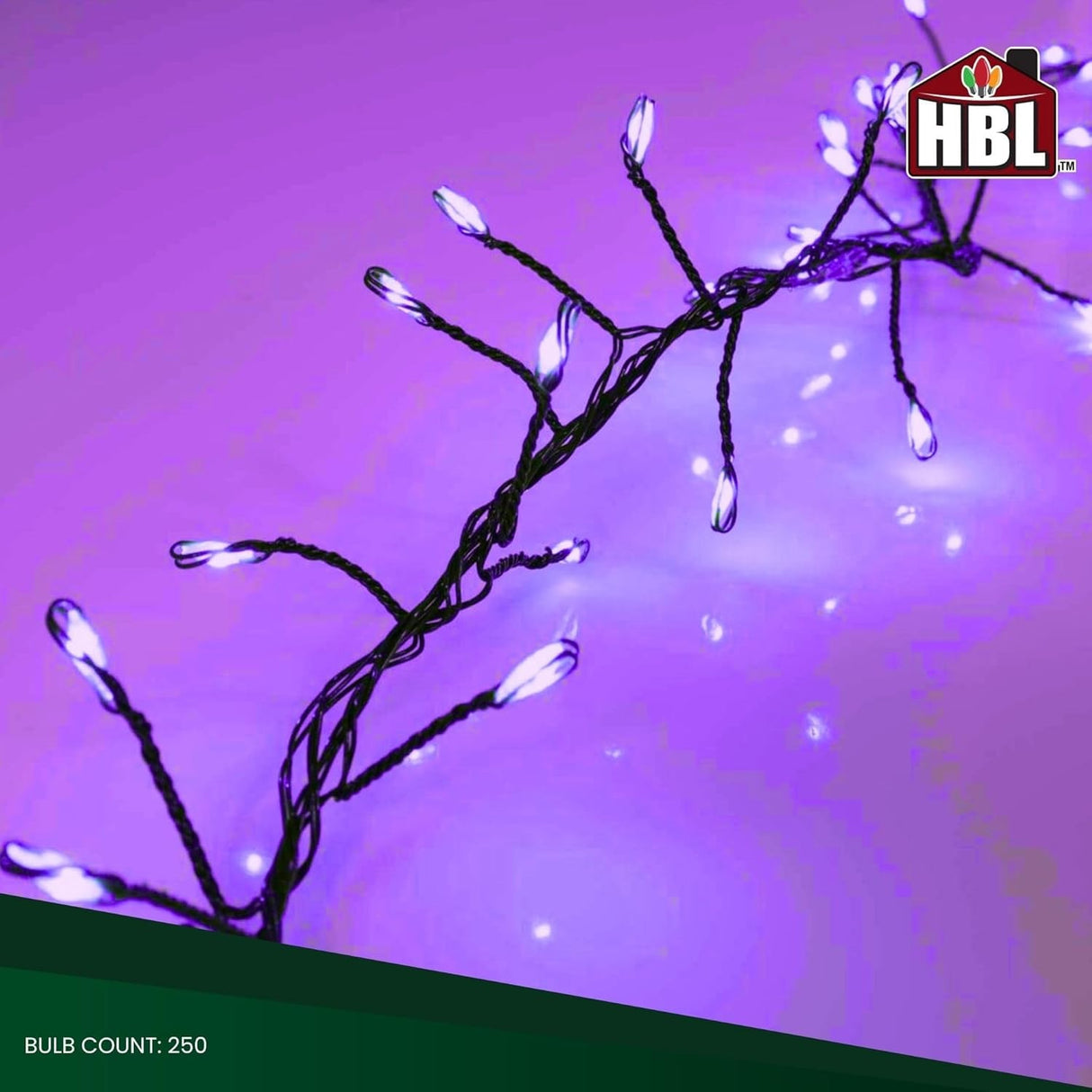This image shows the purple big seed cluster light string and features the Holiday Bright Lights logo in the corner.