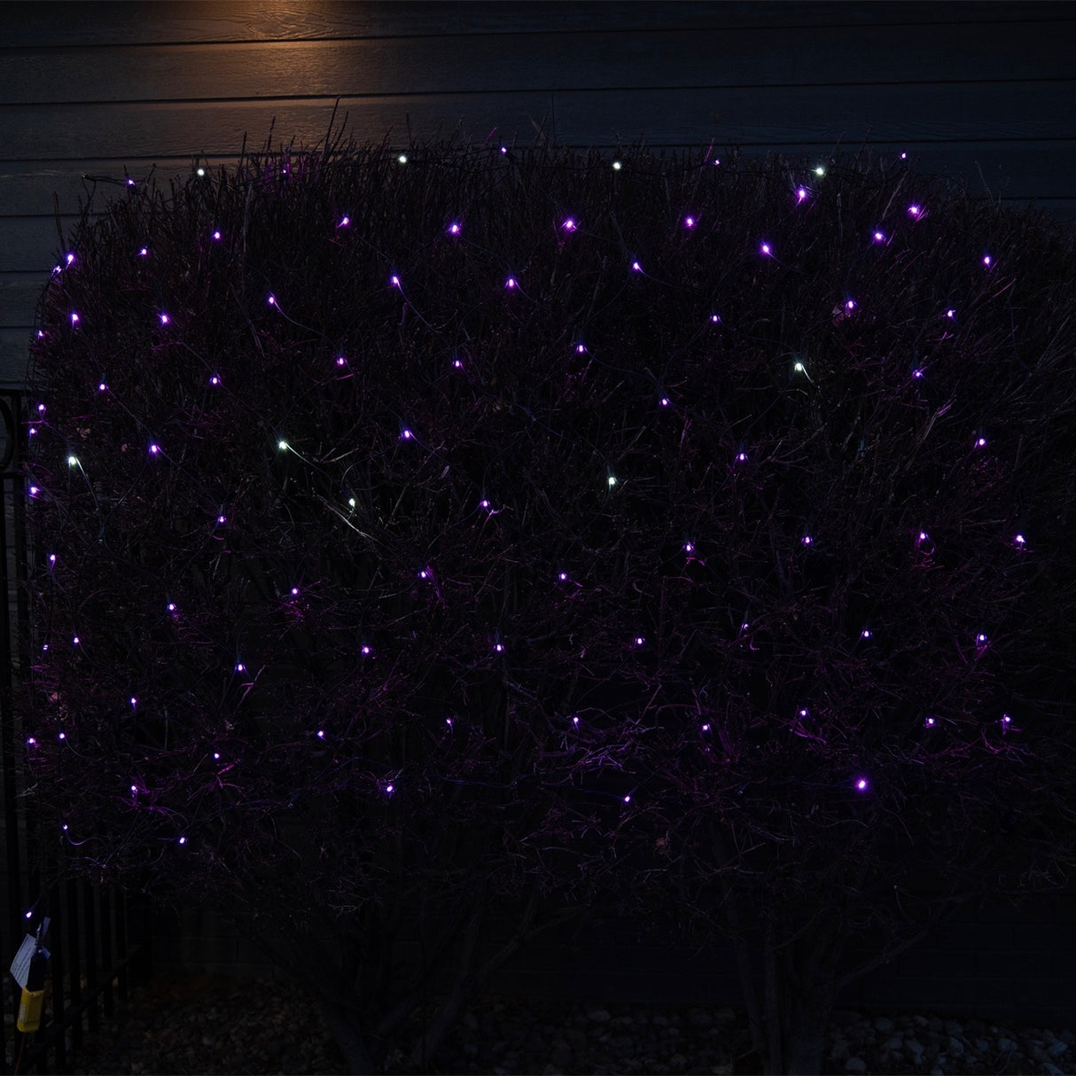 4' x 6' Net Light Set (Orange/Purple)