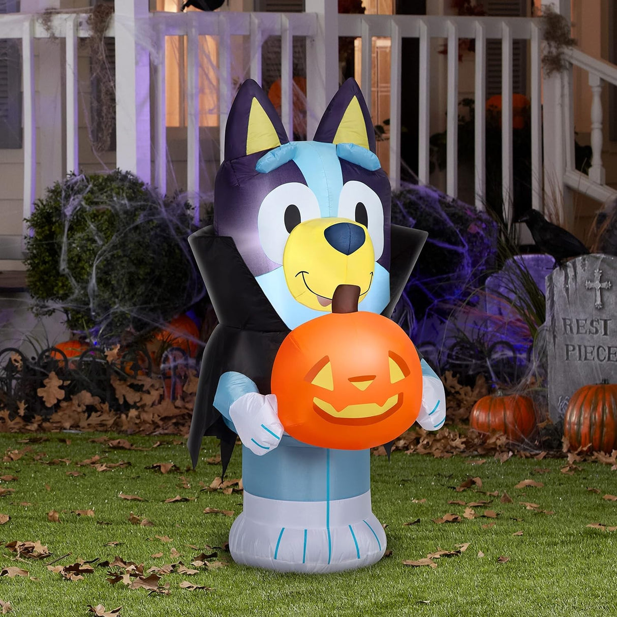 Halloween inflatable shaped like the cartoon character Bluey. He's dressed as a vampire and holding a jack-o-lantern.