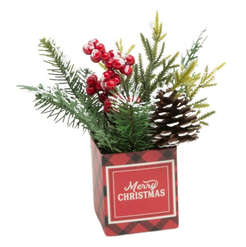 Faux pine and berries with real pine cones in a paper box. One box features red and black buffalo check and reads "Merry Christmas." One box features a white and gray design and reads "I'm Dreaming of a White Christmas." One box features red and green plaid and reads "Happy Holidays."