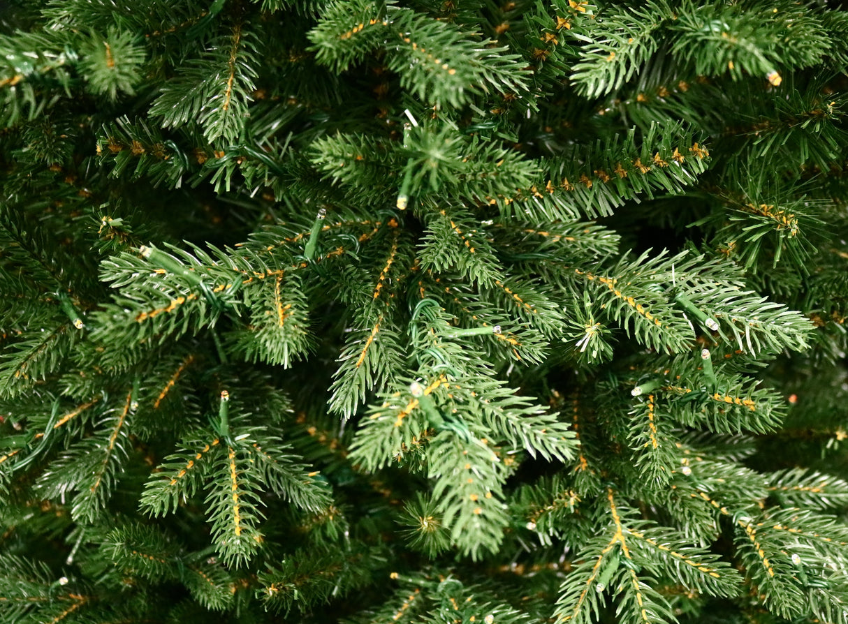 An up close view of the branches and the lights on this tree.