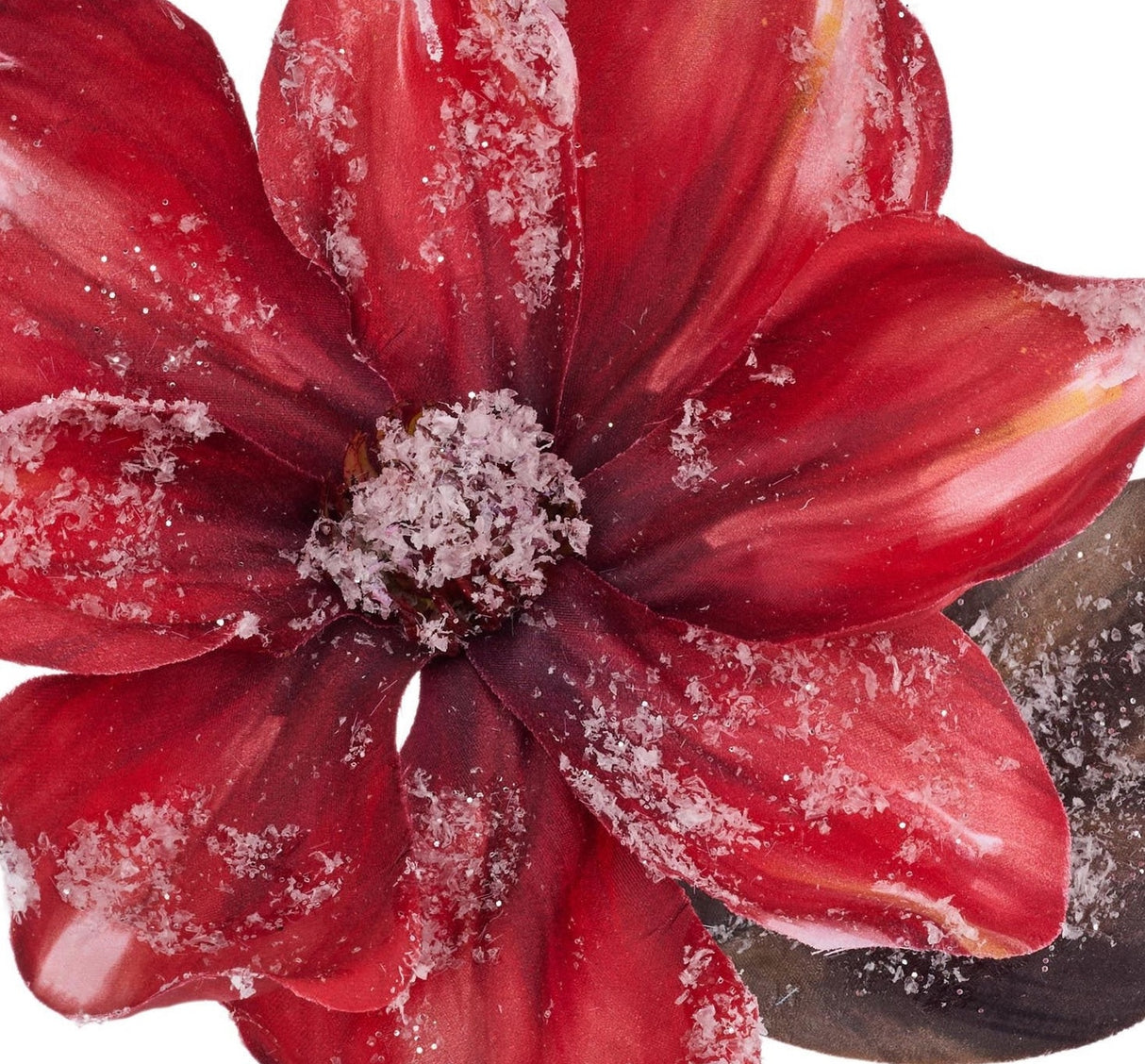Red magnolia flower with a rust colored stem and leaf. Covered in white specks to appear covered in snow.