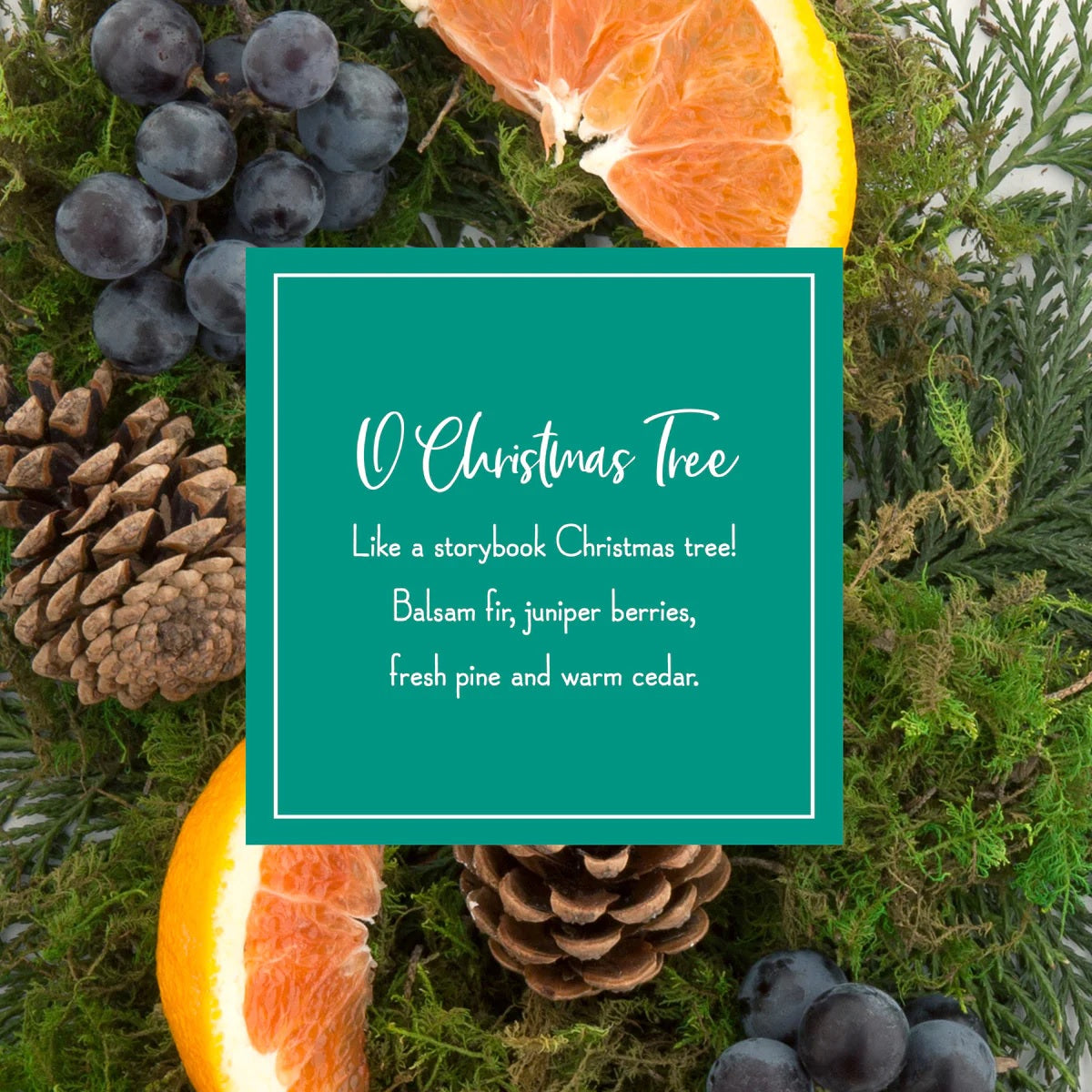 Fragrance-Infused Paper Sticks. Set of 6 scented ornaments that smell like O Christmas Tree.