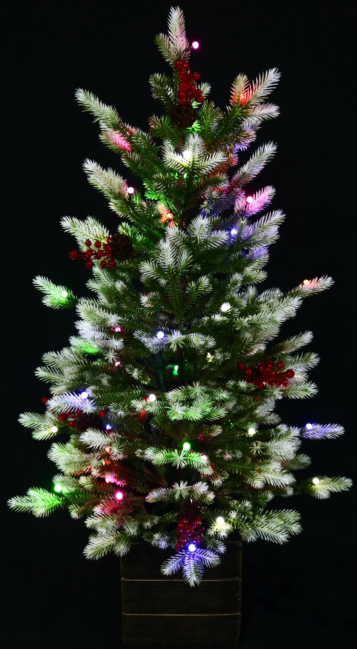 Potted artificial tree with Starry lights.
