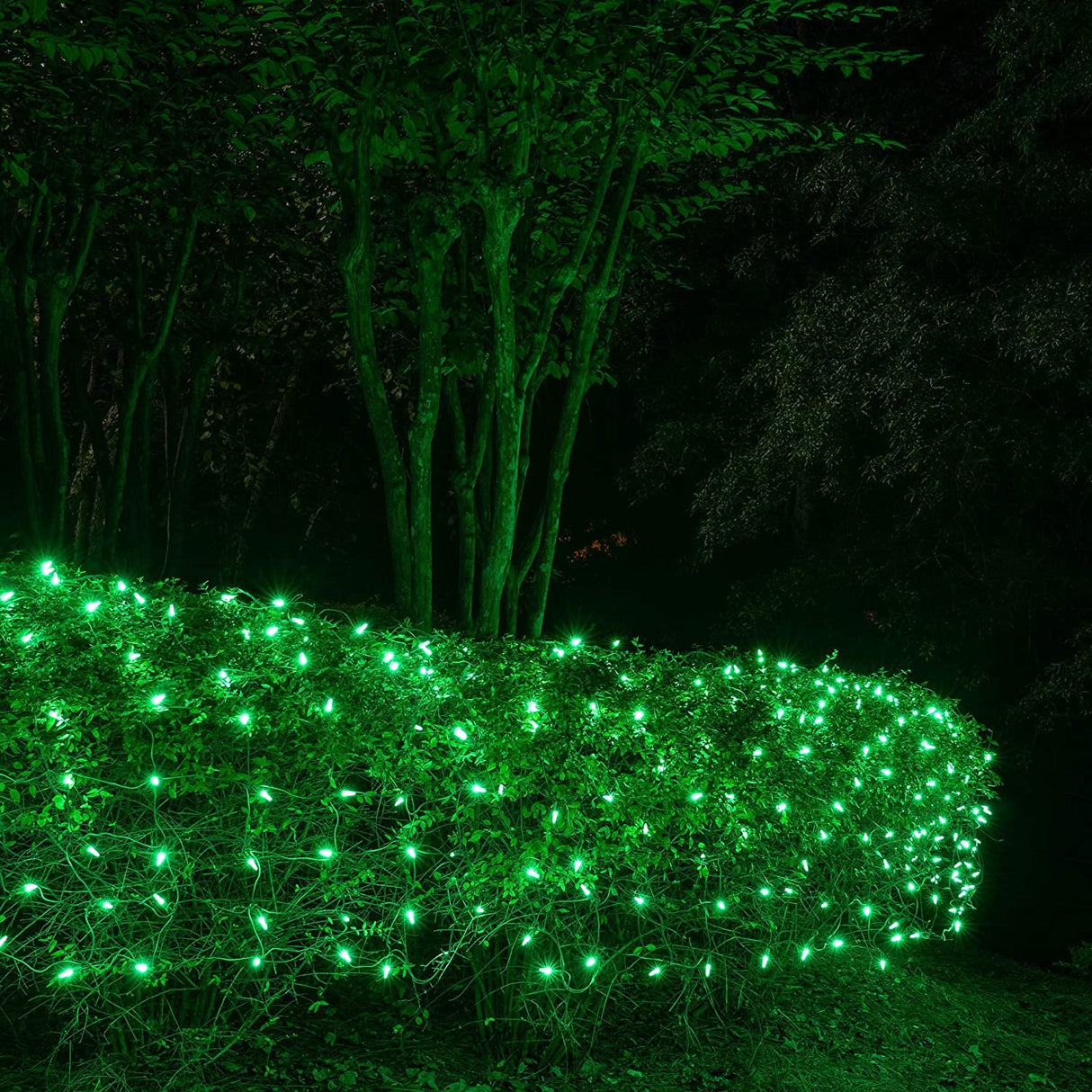 Set of 100 Professional Grade Christmas LED Net Lights