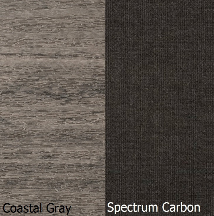 This is a swatch image showing the Coastal Gray frame and the Spectrum Carbon cushion color.