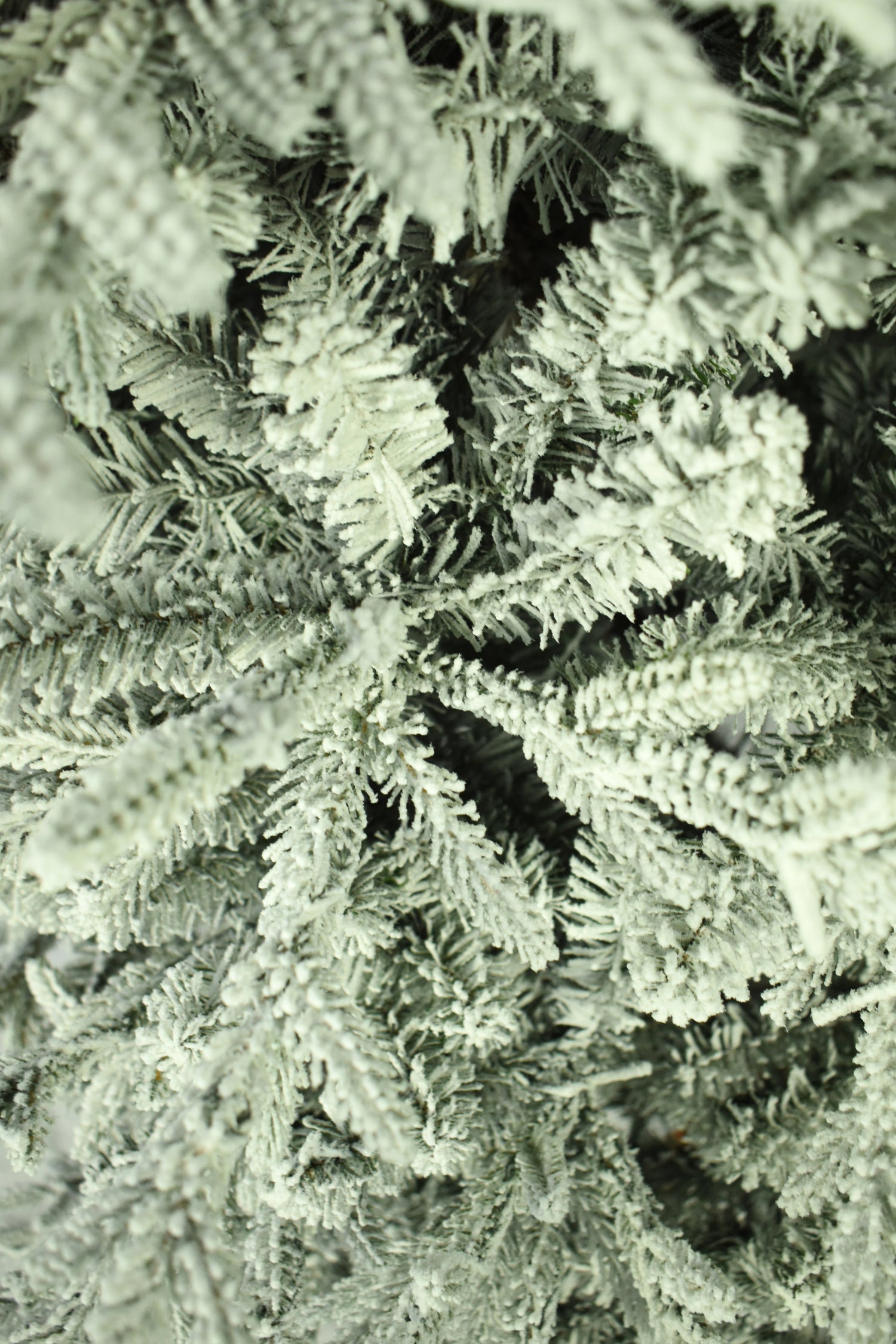 This is an up close view of the flocked branch tips.