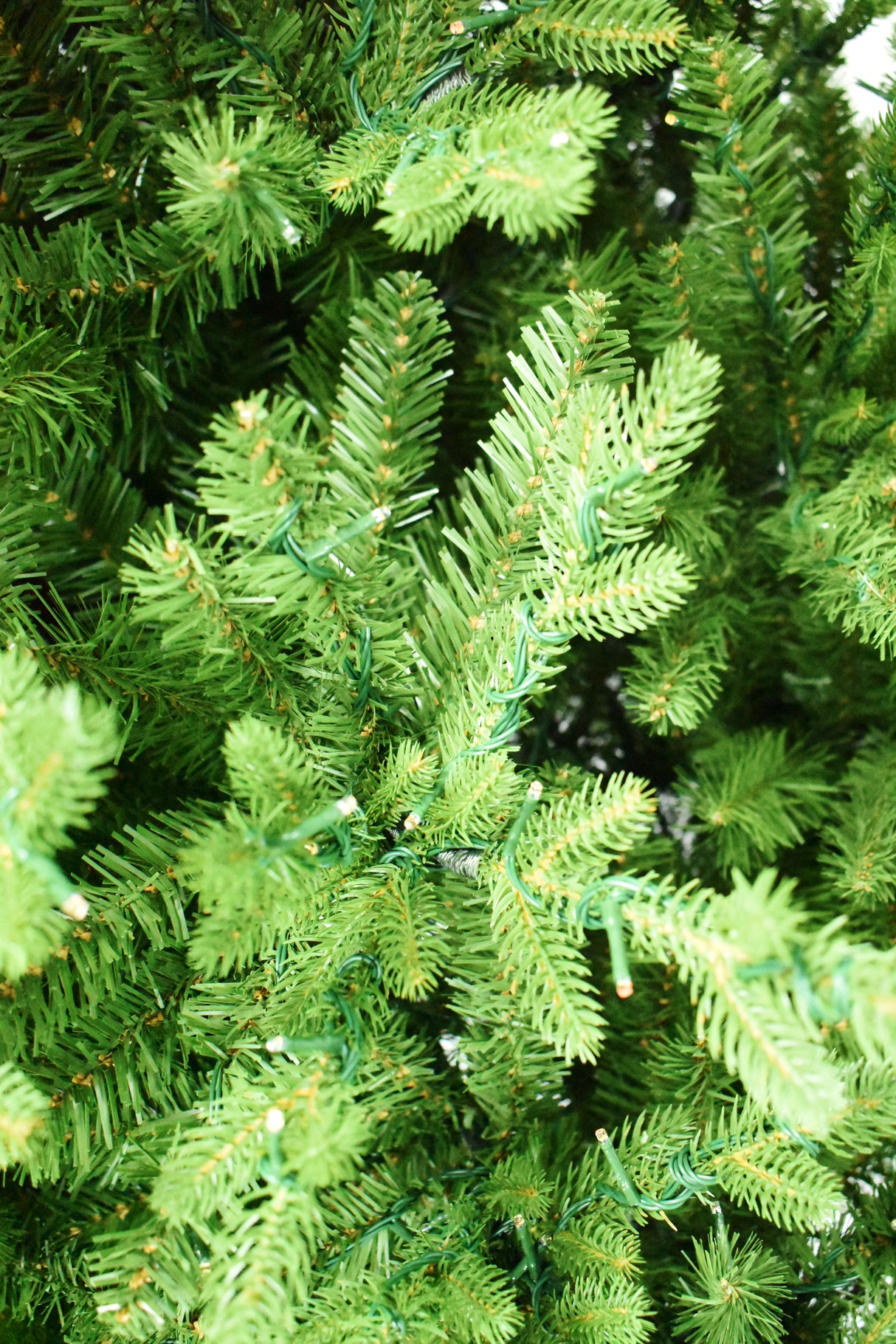 This is an up close view of the tree branches and the lights.