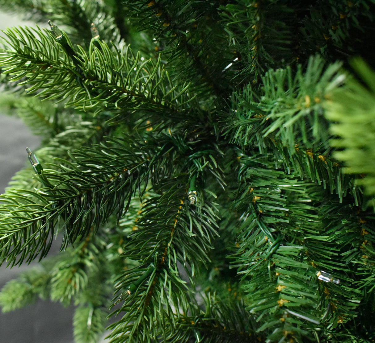 This is an up close view of the branch tips and the light bulbs.