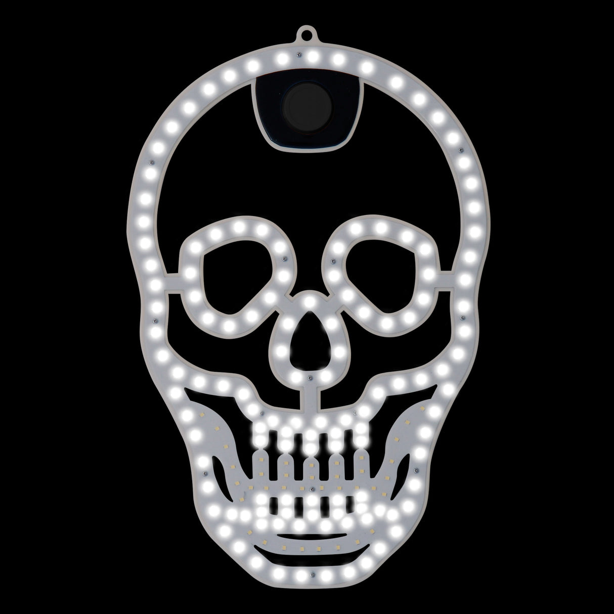 This is an image showing the white frame and white lights on this skull decoration.