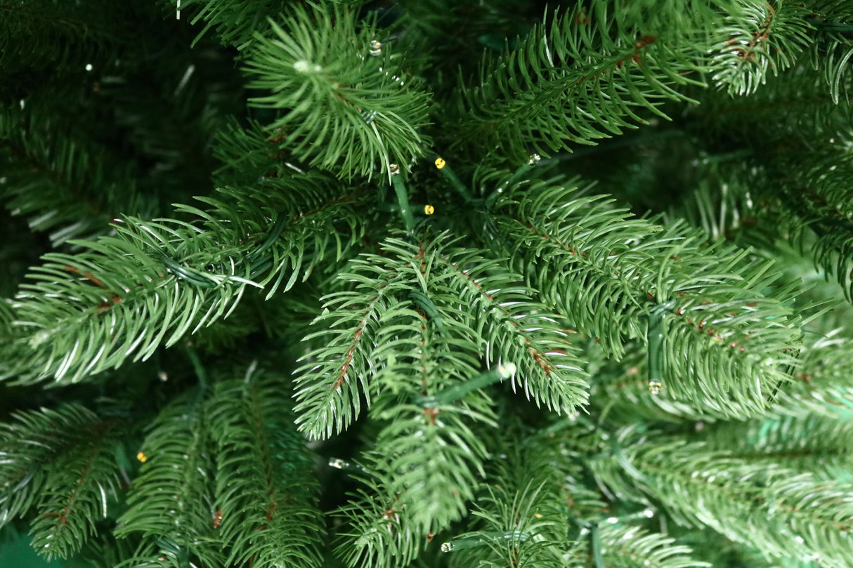 Up close view of the spruce branches and lights on this tree.
