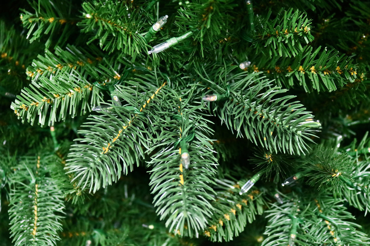 This is an up close view of the branch tips and the light bulbs.