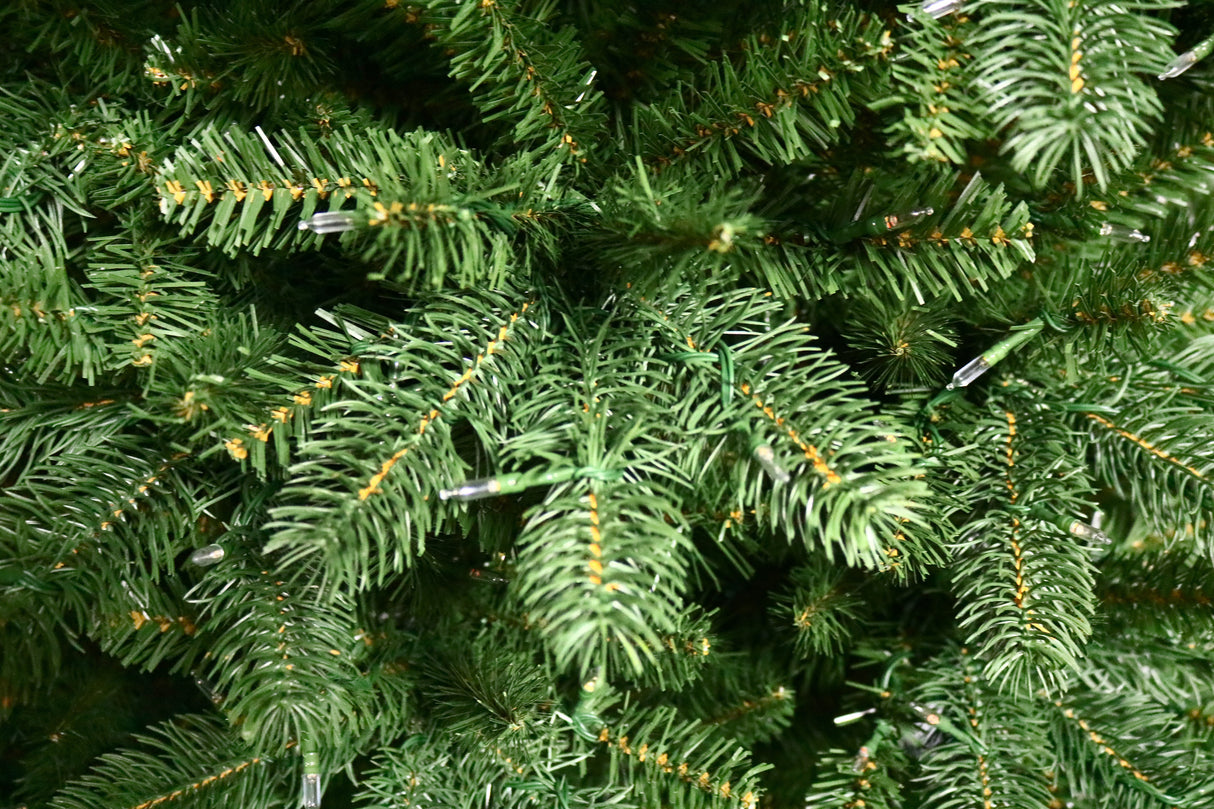 This is an up close view of the branch tips and the lights.