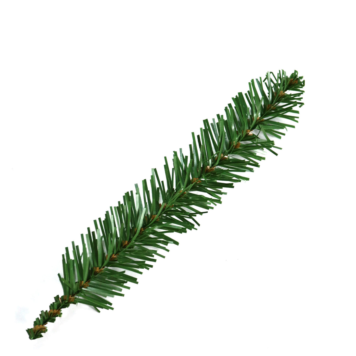 This image is an up close view of one of the tree branches.