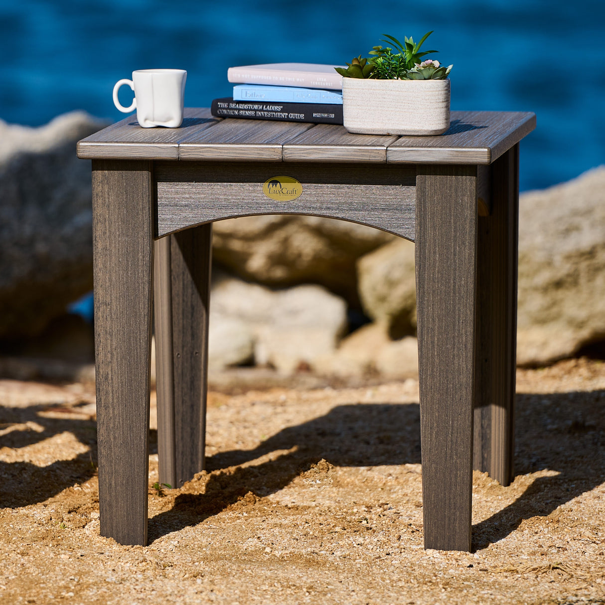 This is a lifestyle image showing the Chestnut Brown colored end table. There's a coffee mug, three books and a succulent plant on top of the table.