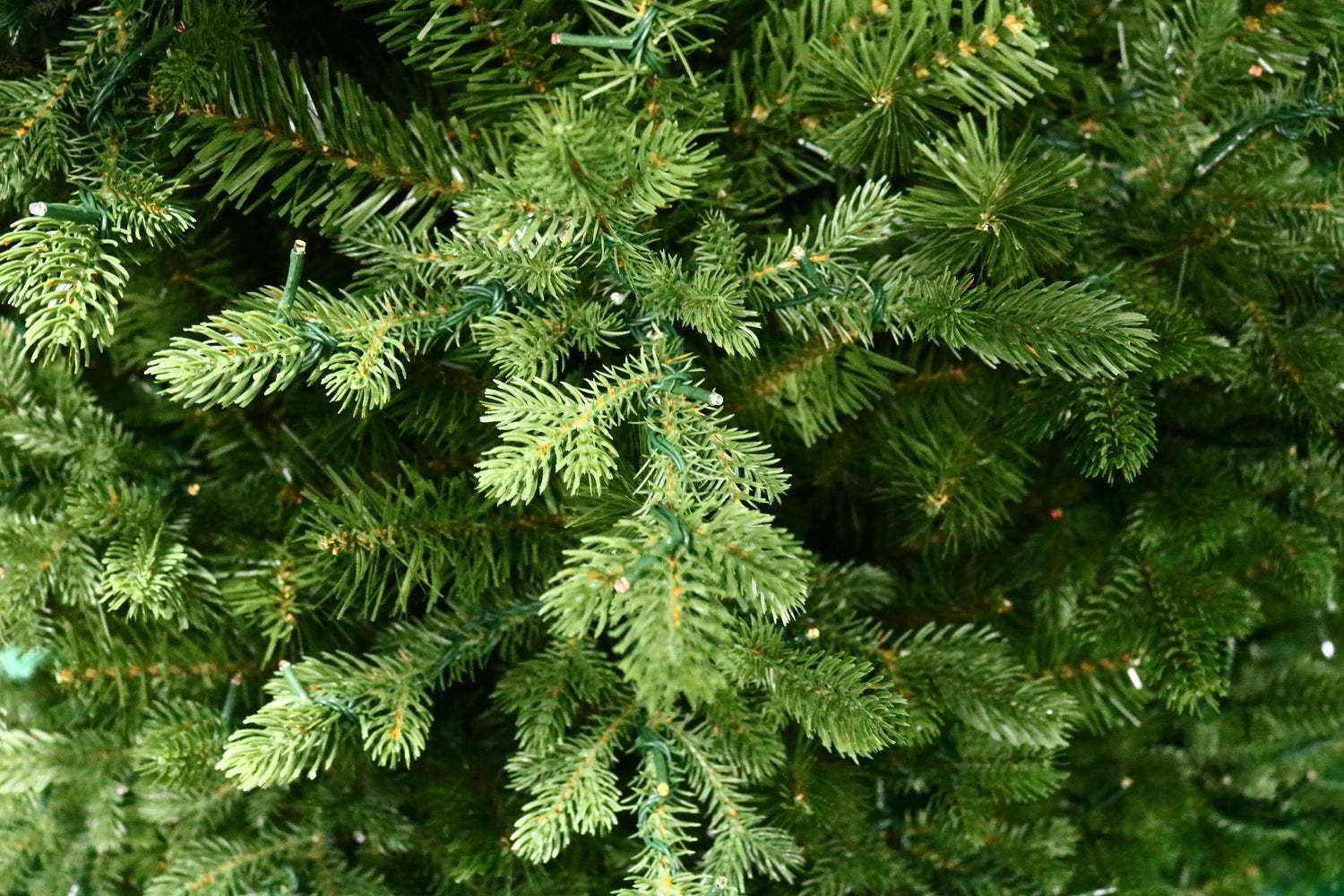 This is an up close view of the branch tips and the light bulbs.