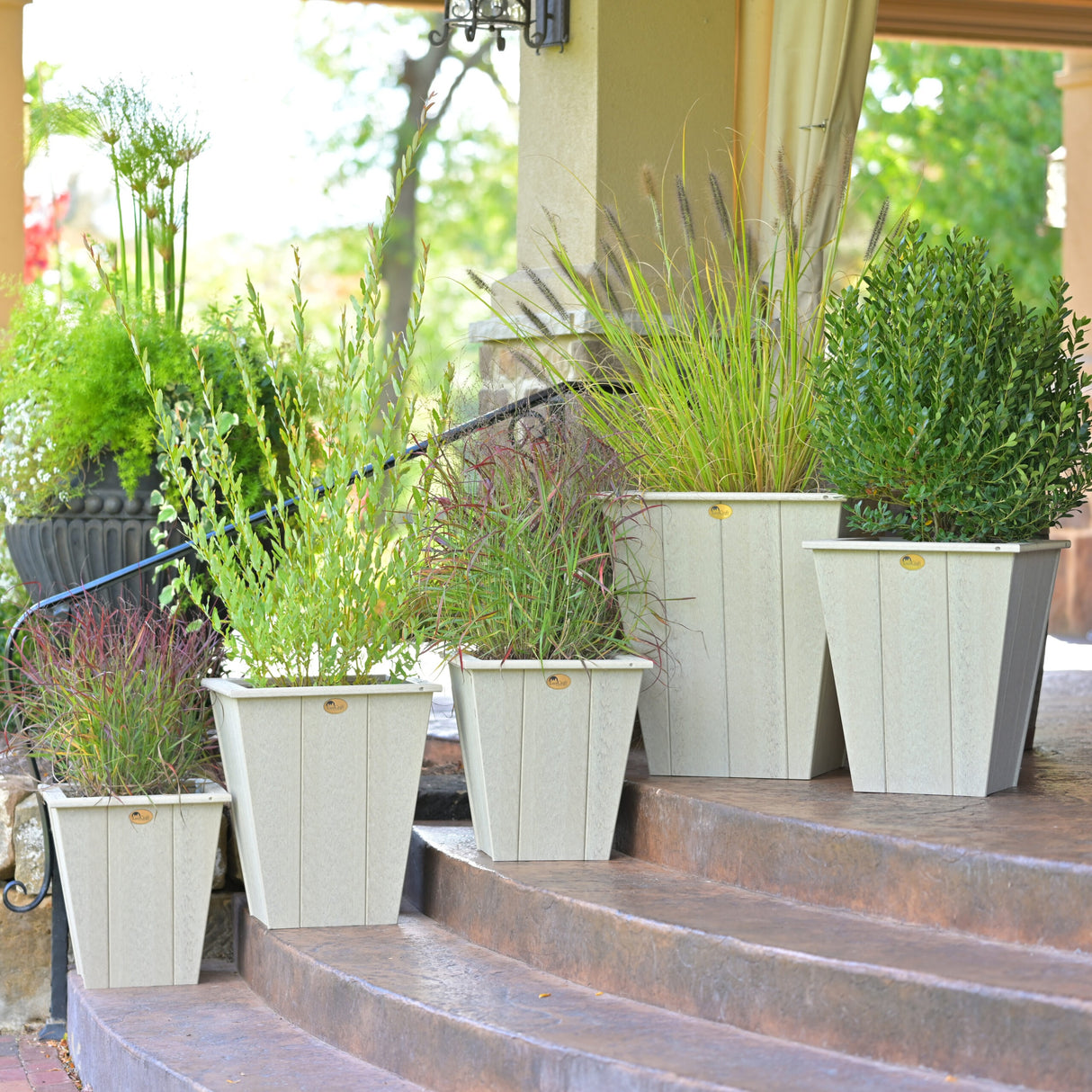 This is a lifestyle image showing five different sized Birch colored planters on some brown stairs. Each planter has a green plant growing out of it.